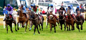 Dingle Races by Barbara Walsh