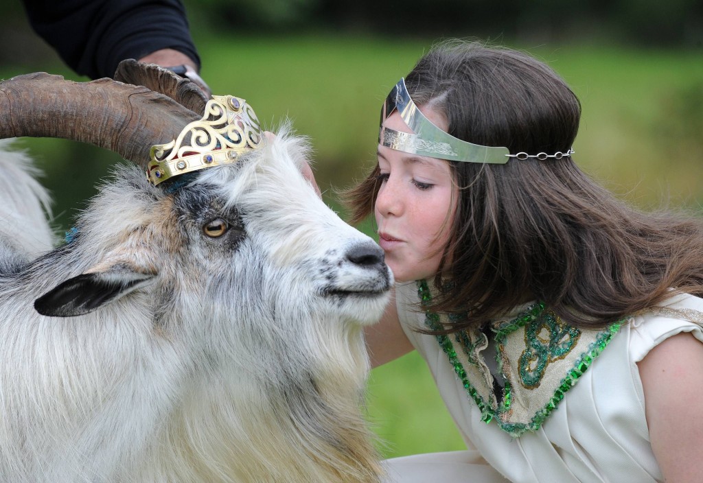 Puck Fair Experience Ireland like a Local