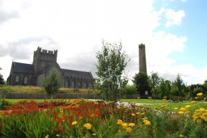 Saint Brigid's Cathedral Kildare