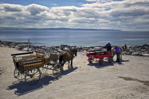 Horse and Trap, Inisheer (Inis Oirr), Aran Islands