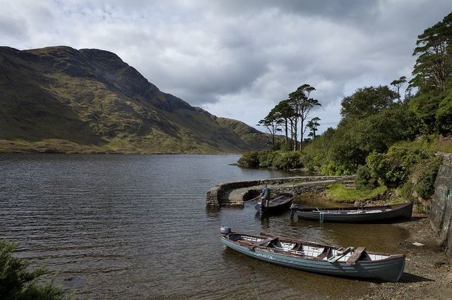 Fishing on the River Moy