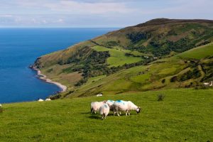 Romance Places in Ireland to Visit