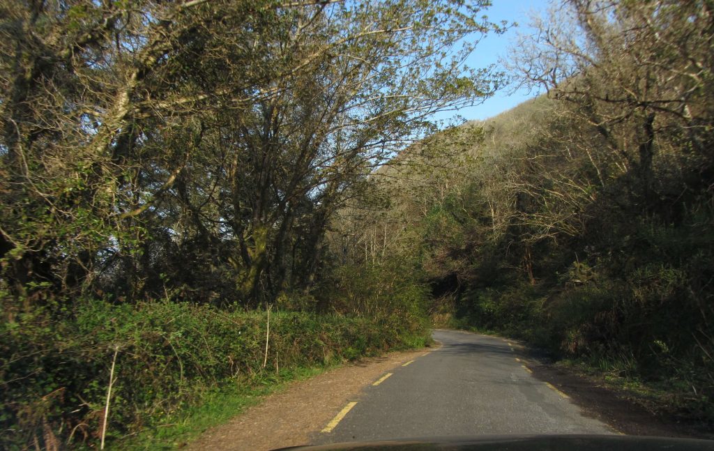Driving In Ireland -Narrow road valentia island- lay by