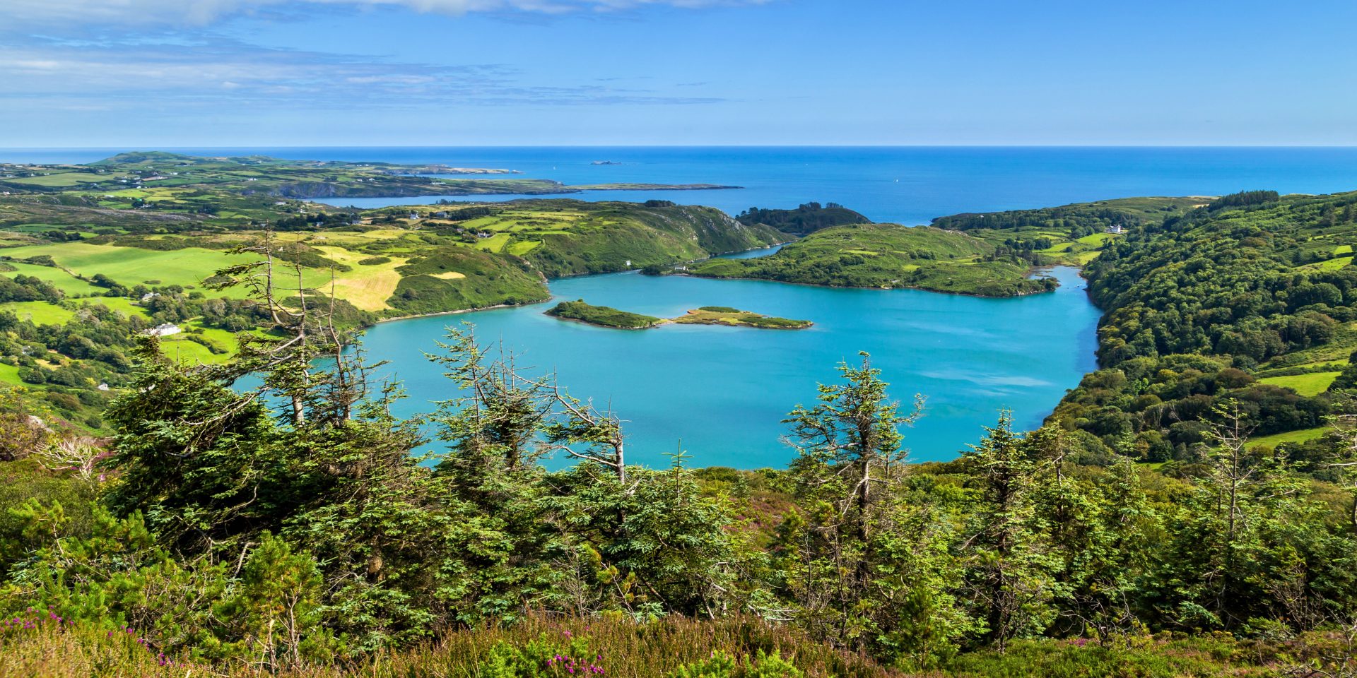 Panoramic View Lough Hyne, County Cork