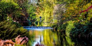 Man on a bridge in the gardens