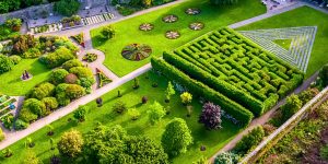 Maze