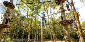 Family outdoorsy activity