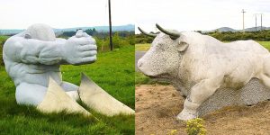 Bull and man