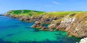 Ocean and low cliffs
