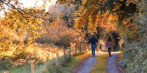 Burren walking trail
