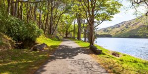 Seasonal forest path