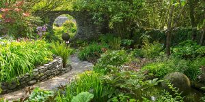River running through the gardens
