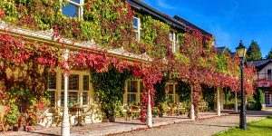 Ivy-covered hotel for father's day