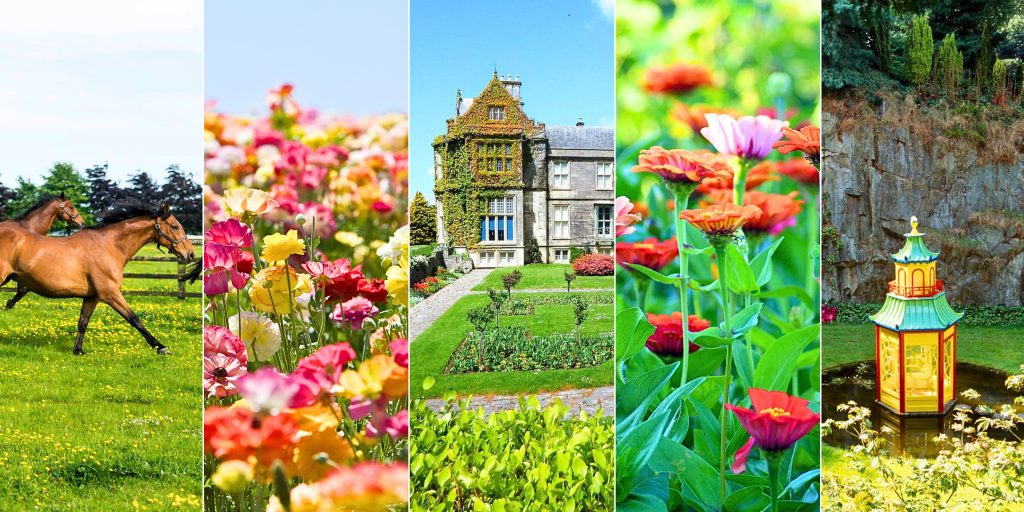 Compilation of gardens