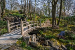 Wooden bridge in the gardens