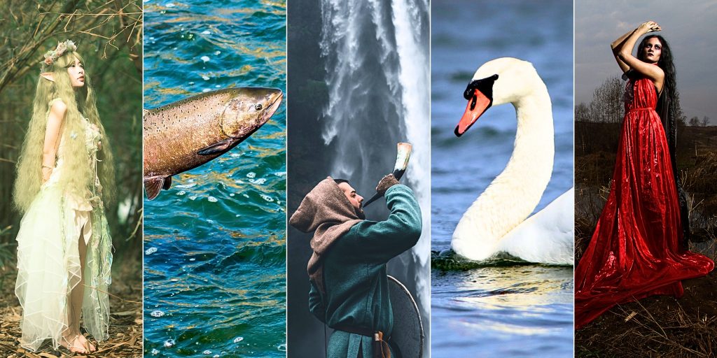 Collage of related story images
