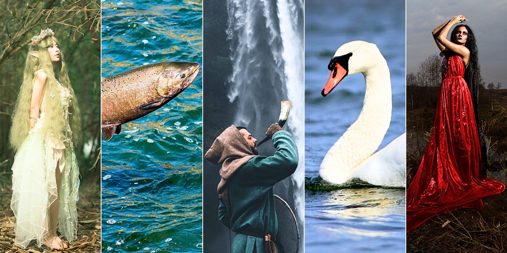 Collage of related story images