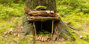 Fairy door at the bottom of a tree
