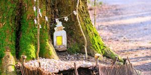 Fairy door in tree