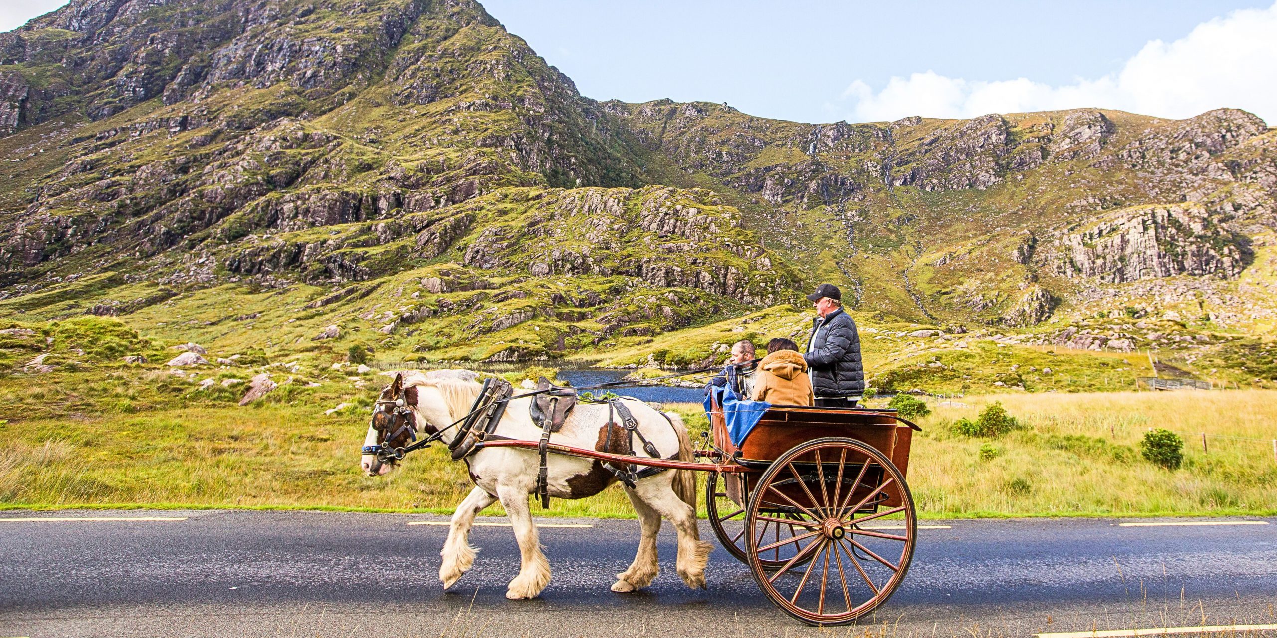 Horse and carriage