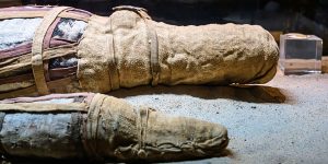 Mummified remains