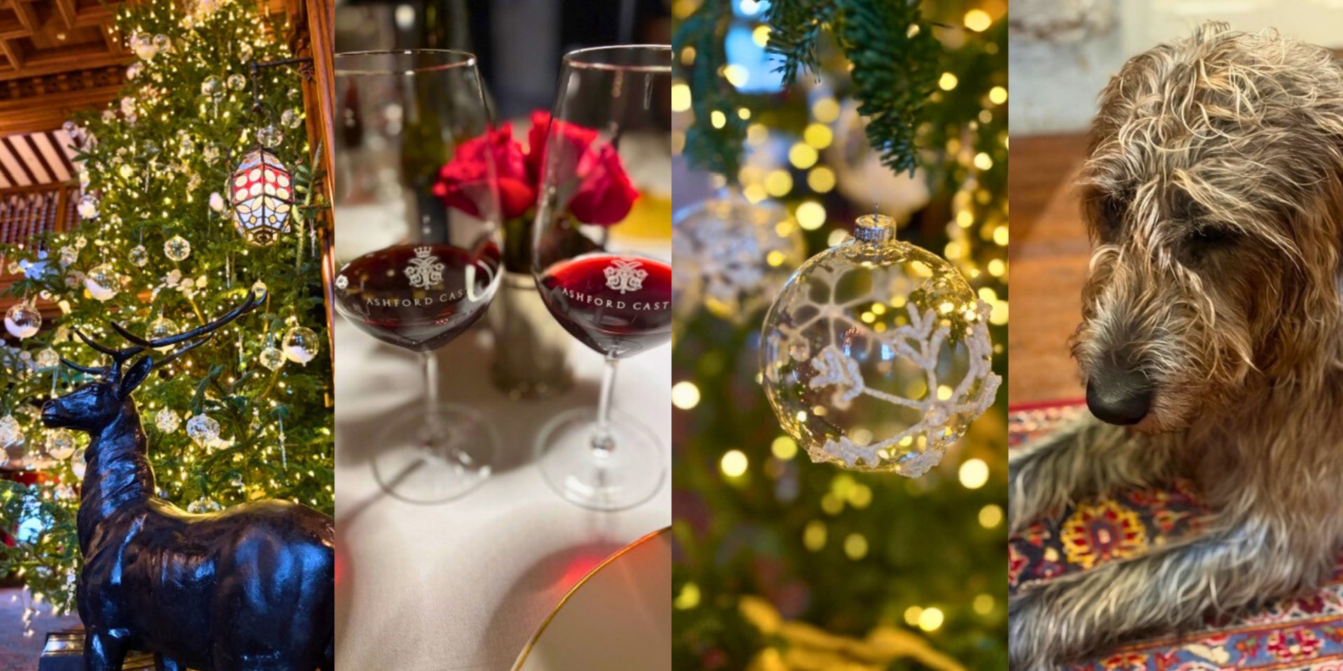 Wine glasses, Christmas decorations and dog
