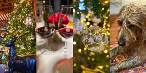 Wine glasses, Christmas decorations and dog