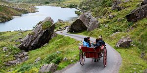 Couple riding in a horse and cart
