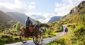 Horse and carriage through Irish countryside