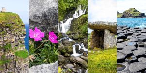 Collage of natural wonders