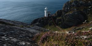 A steep, rocky hillside covered in patches of purple heather toward a small white lighthouse built onto a jagged cliff edge over the ocean. A path with a red safety railing winds down the slope.