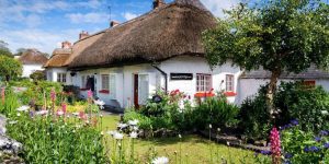 A charming thatched-roof cottage with white stone walls features bright red window trim and is surrounded by a lush garden filled with blooming colorful wildflowers.